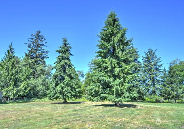 Photo 2 of Land for sale at 0 Xxx Devonshire Rd, Montesano, WA 98563 | MLS# NWM2148398 | Listing updated on 2026-09-17