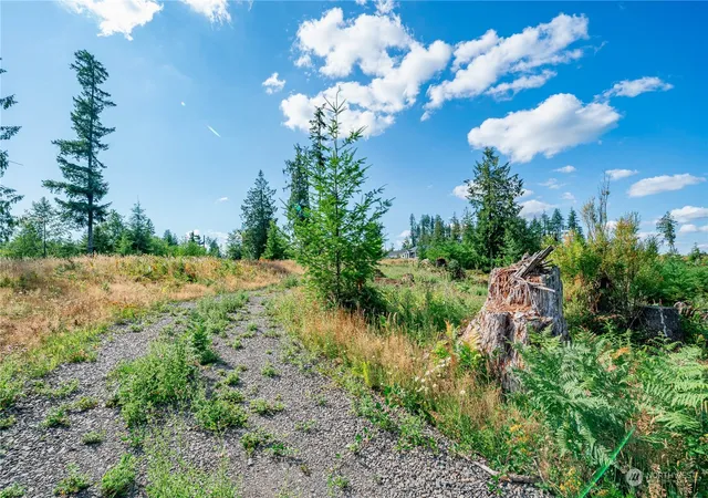Photo 1 of Land for sale at 0 S Silver Lake Lot #8 Rd, Castle Rock, WA 98611 | MLS# NWM2151739 | Listing updated on 2026-09-17
