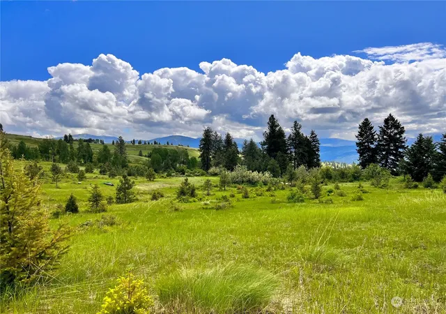 Photo 1 of Land for sale at 0 Tbd Big Goosmus Crk Rd, Curlew, WA 99118 | MLS# NWM2164894 | Listing updated on 2026-09-29