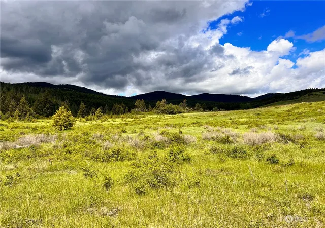 Photo 2 of Land for sale at 0 Tbd Big Goosmus Crk Rd, Curlew, WA 99118 | MLS# NWM2164894 | Listing updated on 2026-09-29