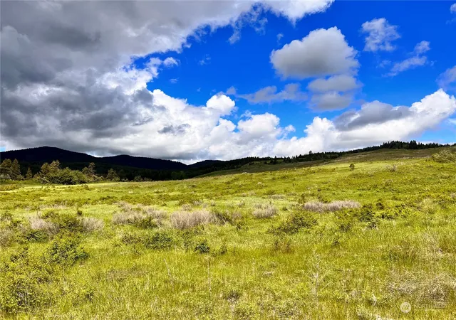 Photo 3 of Land for sale at 0 Tbd Big Goosmus Crk Rd, Curlew, WA 99118 | MLS# NWM2164894 | Listing updated on 2026-09-29