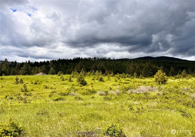 Photo 3 of Land for sale at 0 Tbd Big Goosmus Crk Rd, Curlew, WA 99118 | MLS# NWM2164894 | Listing updated on 2026-09-29