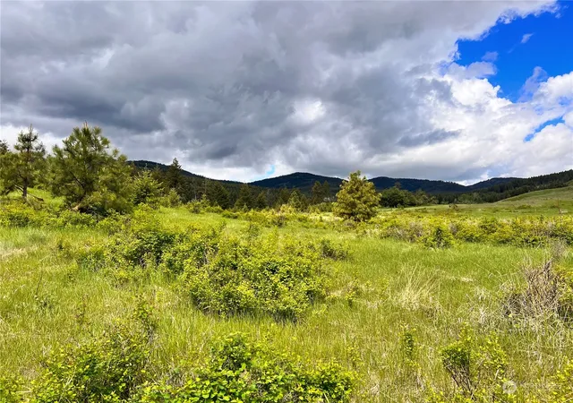 Photo 4 of Land for sale at 0 Tbd Big Goosmus Crk Rd, Curlew, WA 99118 | MLS# NWM2164894 | Listing updated on 2026-09-29