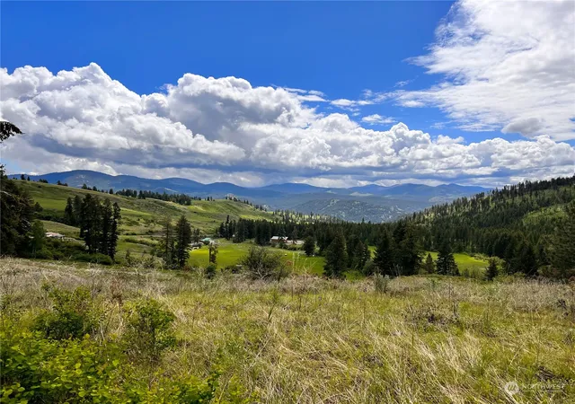 Photo 1 of Land for sale at 293 Big Goosmus Crk Rd, Curlew, WA 99118 | MLS# NWM2164961 | Listing updated on 2026-09-29