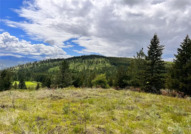 Photo 2 of Land for sale at 293 Big Goosmus Crk Rd, Curlew, WA 99118 | MLS# NWM2164961 | Listing updated on 2026-09-29