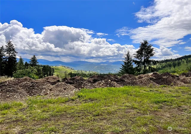 Photo 3 of Land for sale at 293 Big Goosmus Crk Rd, Curlew, WA 99118 | MLS# NWM2164961 | Listing updated on 2026-09-29