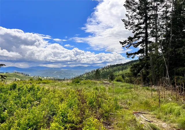 Photo 3 of Land for sale at 293 Big Goosmus Crk Rd, Curlew, WA 99118 | MLS# NWM2164961 | Listing updated on 2026-09-29