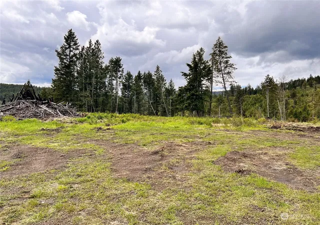 Photo 4 of Land for sale at 293 Big Goosmus Crk Rd, Curlew, WA 99118 | MLS# NWM2164961 | Listing updated on 2026-09-29