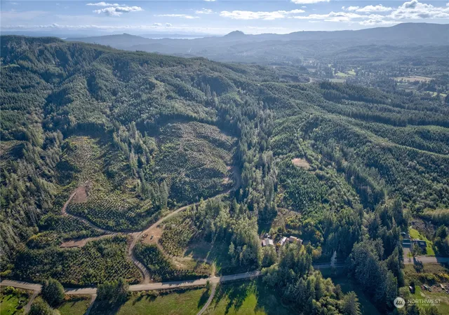 Photo 3 of Land for sale at 0 Tract 1 S Valley Rd, Naselle, WA 98638 | MLS# NWM2175254 | Listing updated on 2026-09-17