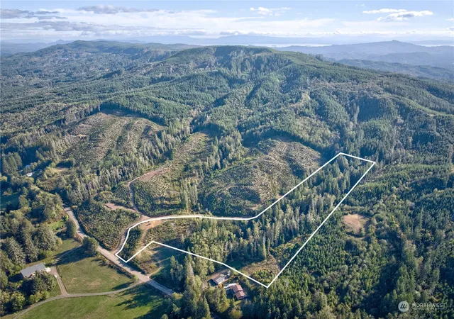 Photo 4 of Land for sale at 0 Tract 1 S Valley Rd, Naselle, WA 98638 | MLS# NWM2175254 | Listing updated on 2026-09-17