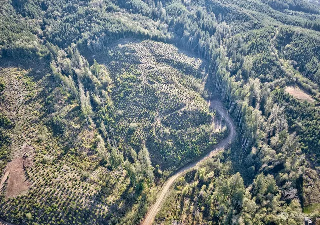 Photo 1 of Land for sale at 0 Tract 2a S Valley Rd, Naselle, WA 98638 | MLS# NWM2175259 | Listing updated on 2026-09-17