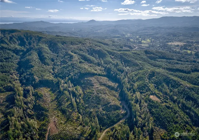 Photo 4 of Land for sale at 0 Tract 2a S Valley Rd, Naselle, WA 98638 | MLS# NWM2175259 | Listing updated on 2026-09-17