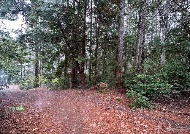 Photo 4 of Land for sale at 0 Misery Point Rd, Seabeck, WA 98380 | MLS# NWM2175877 | Listing updated on 2026-09-17