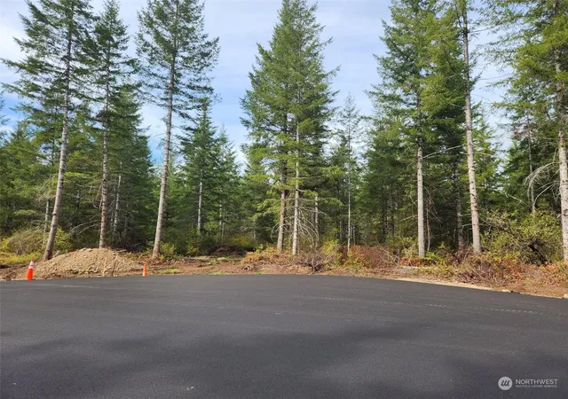 Photo 3 of Land for sale at 0 Lot 1 Div Raven Ln, Elma, WA 98541 | MLS# NWM2180152 | Listing updated on 2026-09-17