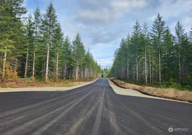 Photo 4 of Land for sale at 0 Lot 1 Div Raven Ln, Elma, WA 98541 | MLS# NWM2180152 | Listing updated on 2026-09-17