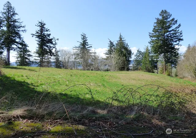 Photo 3 of Land for sale at 0 Riverside E (6441) Rd, Cathlamet, WA 98612 | MLS# NWM2189000 | Listing updated on 2026-09-17