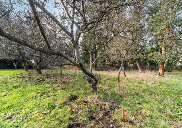 Photo 2 of Land for sale at 1431 Beech St, Port Townsend, WA 98368 | MLS# NWM2210859 | Listing updated on 2026-09-17