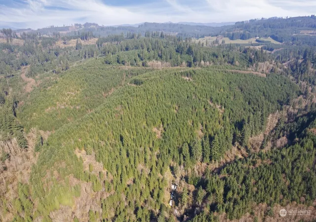 Photo 3 of Land for sale at 0 Cedar Mist Rd, Amboy, WA 98601 | MLS# NWM2214479 | Listing updated on 2026-09-17