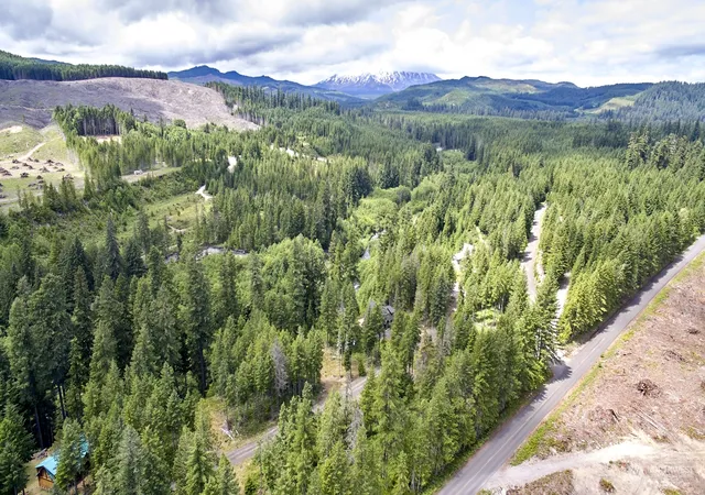 Photo 1 of Land for sale at 1 Lodgepole Ln, Cougar, WA 98616 | MLS# NWM2216892 | Listing updated on 2026-09-17