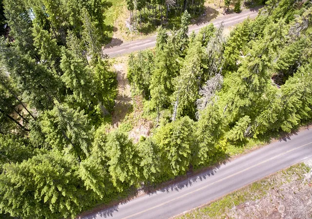 Photo 2 of Land for sale at 1 Lodgepole Ln, Cougar, WA 98616 | MLS# NWM2216892 | Listing updated on 2026-09-17