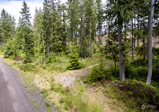 Photo 3 of Land for sale at 1 Lodgepole Ln, Cougar, WA 98616 | MLS# NWM2216892 | Listing updated on 2026-09-17