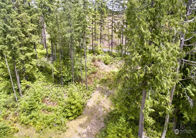 Photo 4 of Land for sale at 1 Lodgepole Ln, Cougar, WA 98616 | MLS# NWM2216892 | Listing updated on 2026-09-17