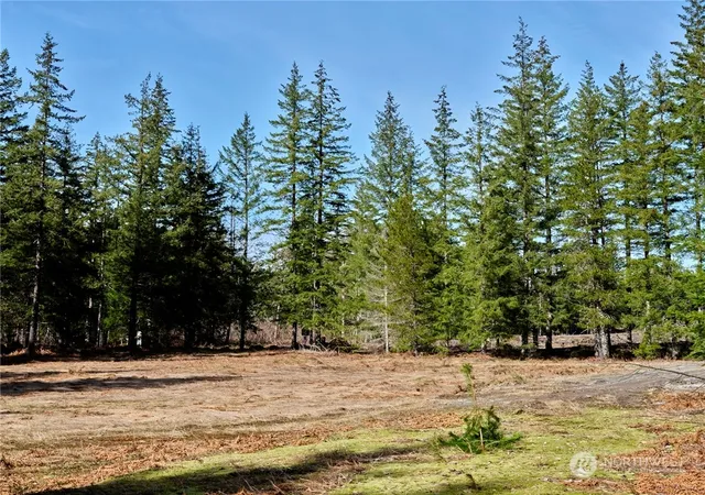 Photo 1 of Land for sale at 6 Loowit Ln, Cougar, WA 98616 | MLS# NWM2216893 | Listing updated on 2026-09-17