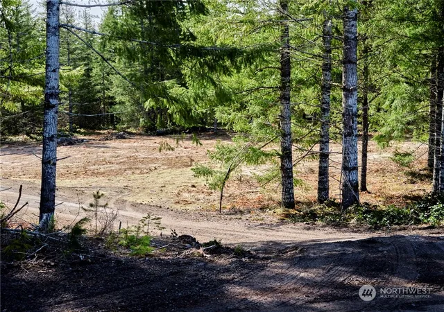 Photo 2 of Land for sale at 6 Loowit Ln, Cougar, WA 98616 | MLS# NWM2216893 | Listing updated on 2026-09-17