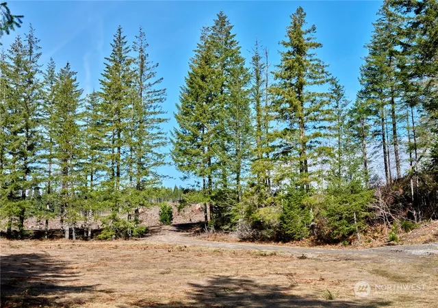 Photo 3 of Land for sale at 6 Loowit Ln, Cougar, WA 98616 | MLS# NWM2216893 | Listing updated on 2026-09-17