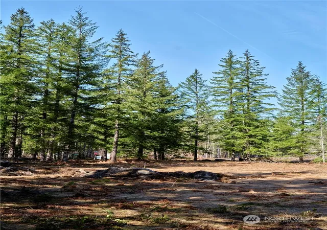 Photo 3 of Land for sale at 6 Loowit Ln, Cougar, WA 98616 | MLS# NWM2216893 | Listing updated on 2026-09-17