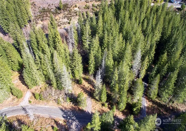 Photo 1 of Land for sale at 8 Lahar Ln, Cougar, WA 98616 | MLS# NWM2216896 | Listing updated on 2026-09-17