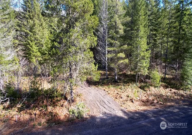 Photo 2 of Land for sale at 8 Lahar Ln, Cougar, WA 98616 | MLS# NWM2216896 | Listing updated on 2026-09-17