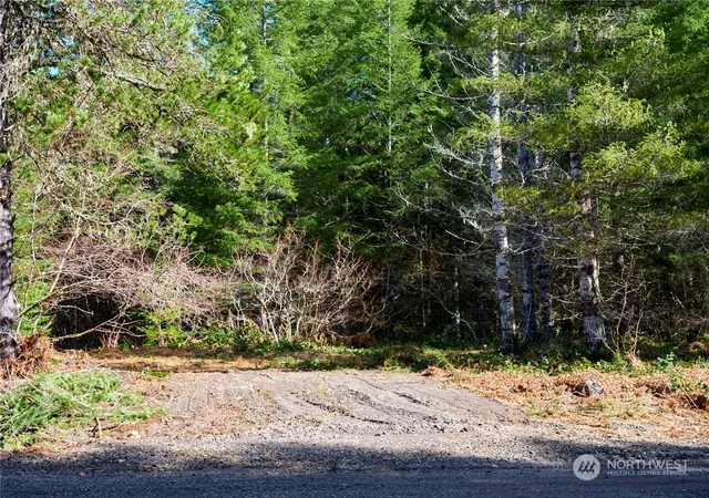 Photo 3 of Land for sale at 8 Lahar Ln, Cougar, WA 98616 | MLS# NWM2216896 | Listing updated on 2026-09-17