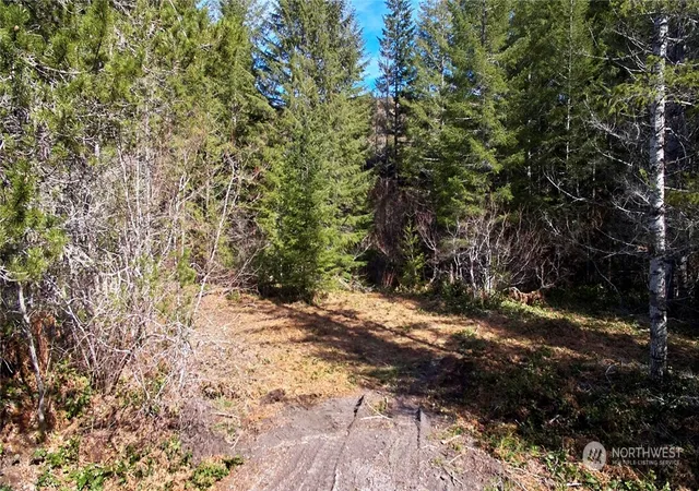 Photo 3 of Land for sale at 8 Lahar Ln, Cougar, WA 98616 | MLS# NWM2216896 | Listing updated on 2026-09-17