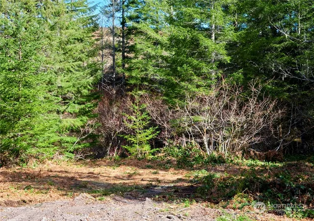 Photo 4 of Land for sale at 8 Lahar Ln, Cougar, WA 98616 | MLS# NWM2216896 | Listing updated on 2026-09-17