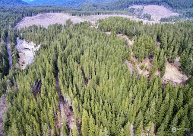 Photo 3 of Land for sale at 3 Lahar Ln, Cougar, WA 98616 | MLS# NWM2216903 | Listing updated on 2026-09-17