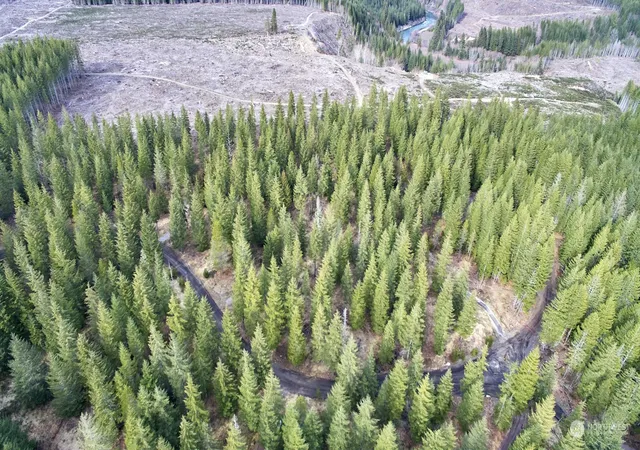 Photo 2 of Land for sale at 4 Loowit Ln, Cougar, WA 98616 | MLS# NWM2216905 | Listing updated on 2026-09-17