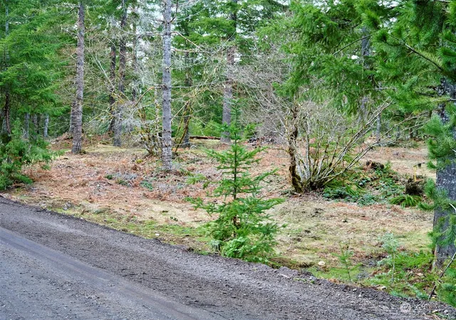 Photo 3 of Land for sale at 4 Loowit Ln, Cougar, WA 98616 | MLS# NWM2216905 | Listing updated on 2026-09-17
