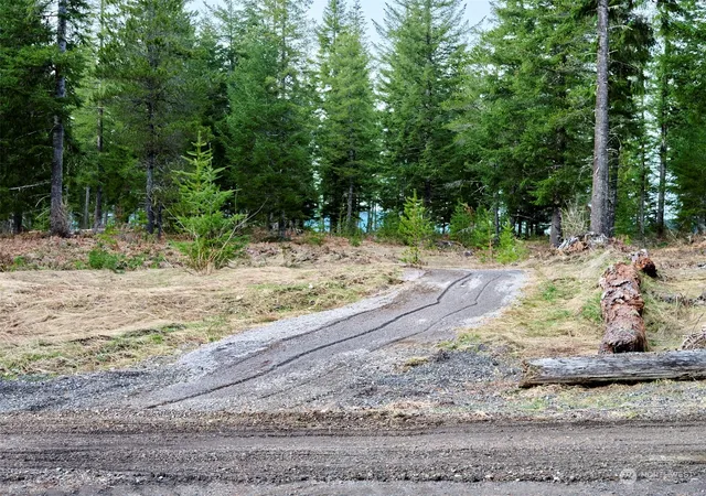 Photo 3 of Land for sale at 4 Loowit Ln, Cougar, WA 98616 | MLS# NWM2216905 | Listing updated on 2026-09-17