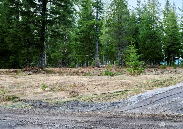 Photo 4 of Land for sale at 4 Loowit Ln, Cougar, WA 98616 | MLS# NWM2216905 | Listing updated on 2026-09-17