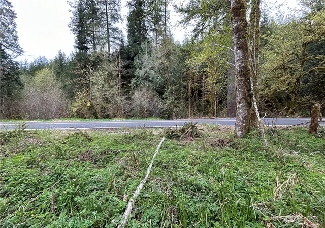 Photo 3 of Land for sale at 0 Lot 3 Abernathy Crk Rd, Longview, WA 98632 | MLS# NWM2225873 | Listing updated on 2026-09-17