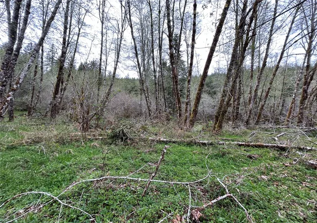 Photo 3 of Land for sale at 0 Lot 3 Abernathy Crk Rd, Longview, WA 98632 | MLS# NWM2225873 | Listing updated on 2026-09-17