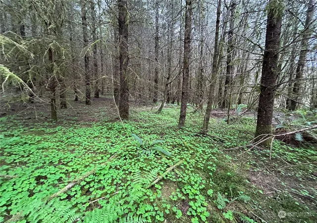 Photo 2 of Land for sale at 0 Lot 4 Abernathy Crk Rd, Longview, WA 98632 | MLS# NWM2225874 | Listing updated on 2026-09-17