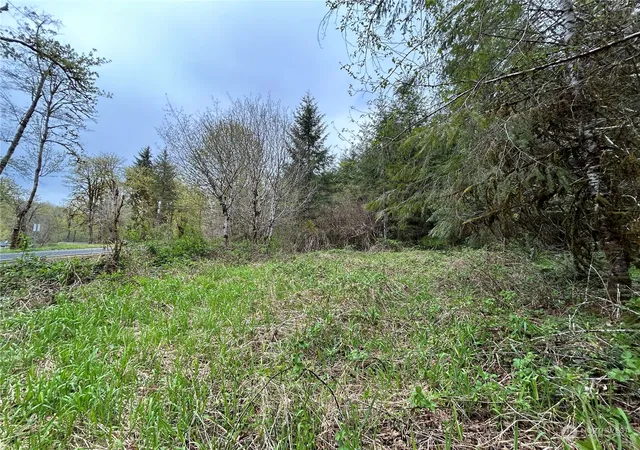 Photo 3 of Land for sale at 0 Lot 4 Abernathy Crk Rd, Longview, WA 98632 | MLS# NWM2225874 | Listing updated on 2026-09-17