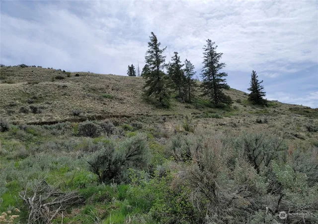 Photo 1 of Land for sale at 98 Tyee View Loop Rd, Orondo, WA 98843 | MLS# NWM2230744 | Listing updated on 2026-09-17