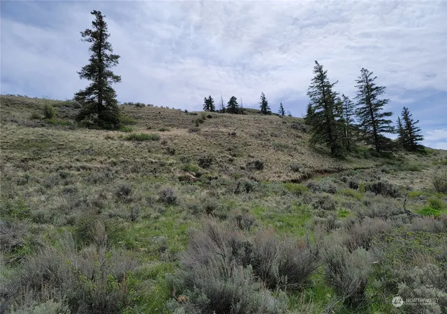 Photo 2 of Land for sale at 98 Tyee View Loop Rd, Orondo, WA 98843 | MLS# NWM2230744 | Listing updated on 2026-09-17