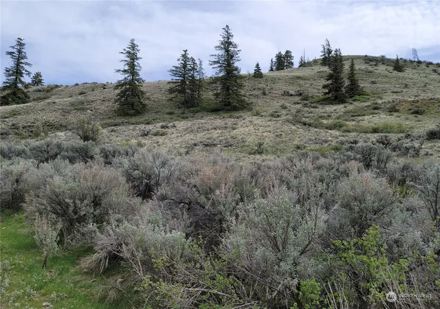 Photo 3 of Land for sale at 98 Tyee View Loop Rd, Orondo, WA 98843 | MLS# NWM2230744 | Listing updated on 2026-09-17
