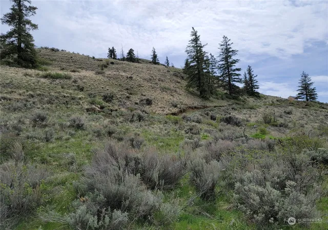 Photo 3 of Land for sale at 98 Tyee View Loop Rd, Orondo, WA 98843 | MLS# NWM2230744 | Listing updated on 2026-09-17