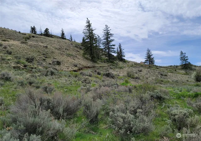 Photo 4 of Land for sale at 98 Tyee View Loop Rd, Orondo, WA 98843 | MLS# NWM2230744 | Listing updated on 2026-09-17