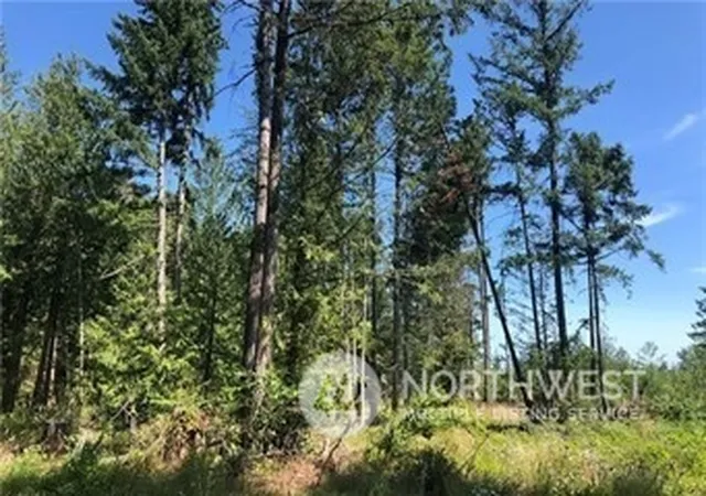 Photo 2 of Land for sale at 21800 70th Avenue E, Spanaway, WA 98387 | MLS# NWM2236550 | Listing updated on 2026-09-17